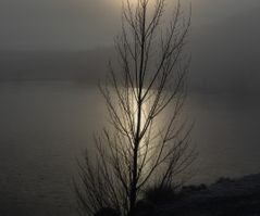 Morning glow at Loch Cameron